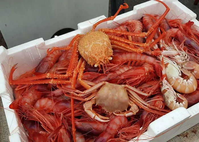 La Casa Di Ulisse 008055- Lt0806 *